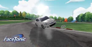 racetonic 0.2 Змеинка